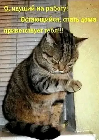 Привет👋 #1
