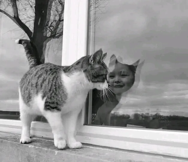 Милота🥰🐾🥰 #1