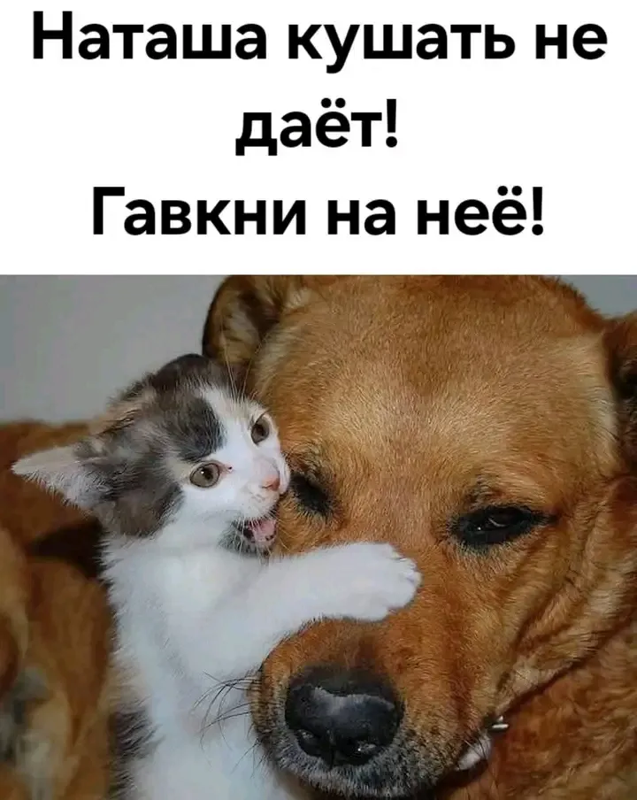 🥰🥰🥰 #1