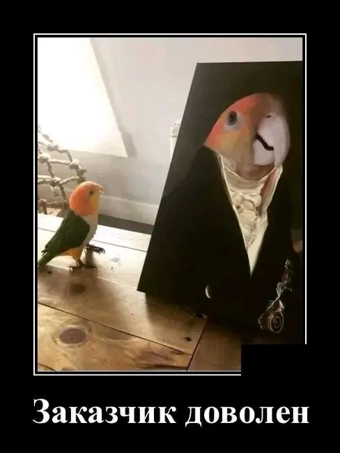 🐦👍 #1