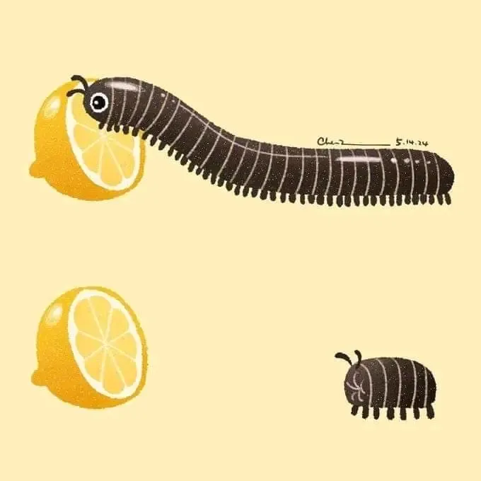 От лимона морщатся все и черви не исключение 🐛 #1