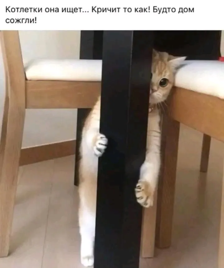 😉🥰👍 #1