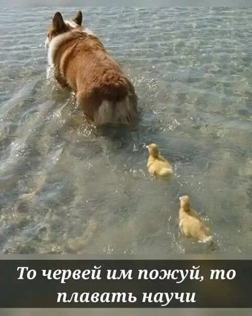 С ДОБРЫМ УТРОМ🌞 #1