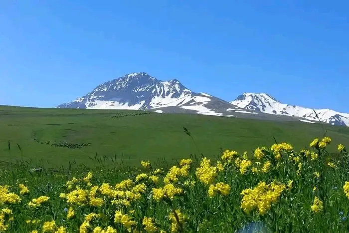 С Днём Защиты Детей 🥰 #5