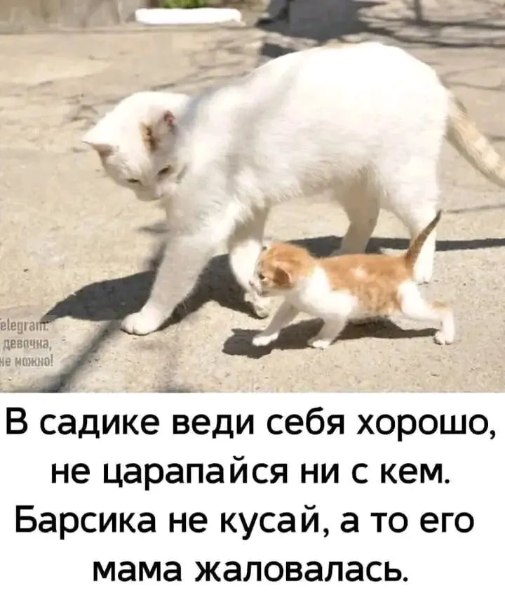 😉🥰👍 #1