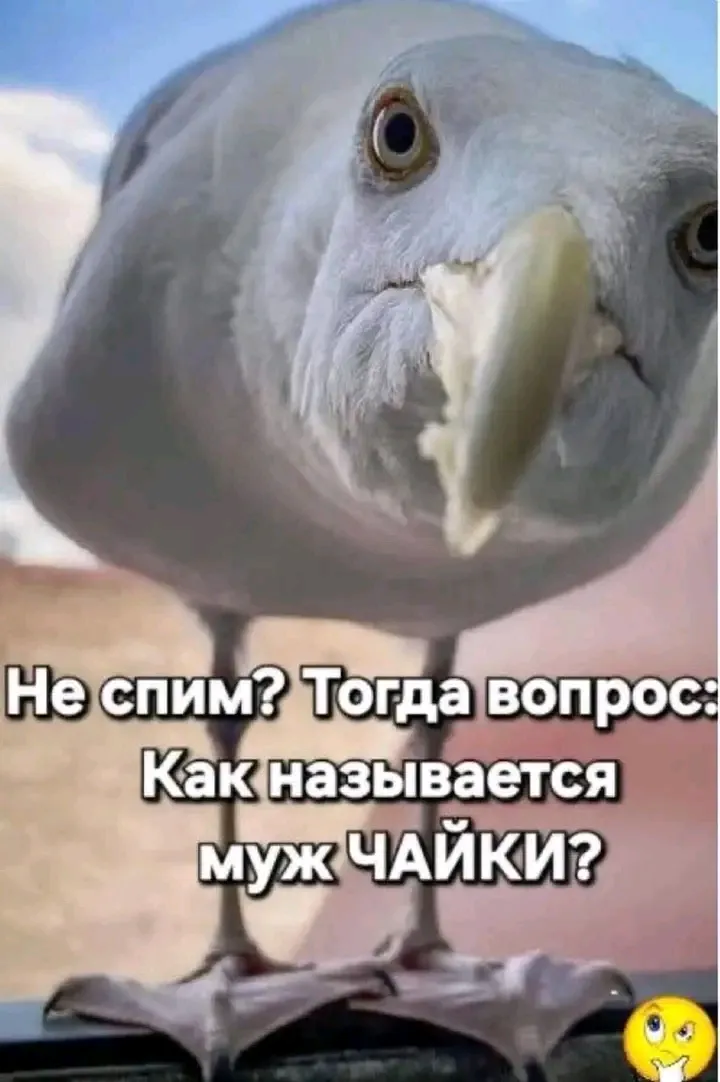 Спокойной ночи 😉 #1