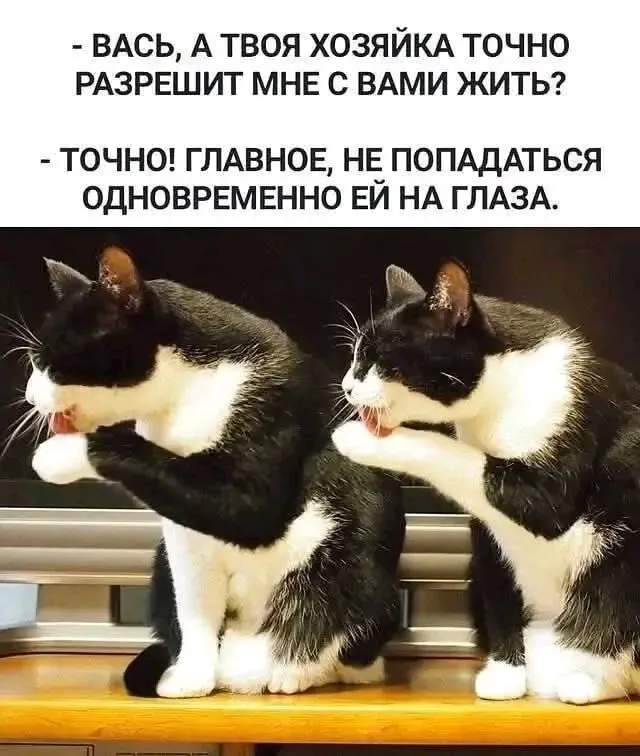 🤣🤣🤣 #1