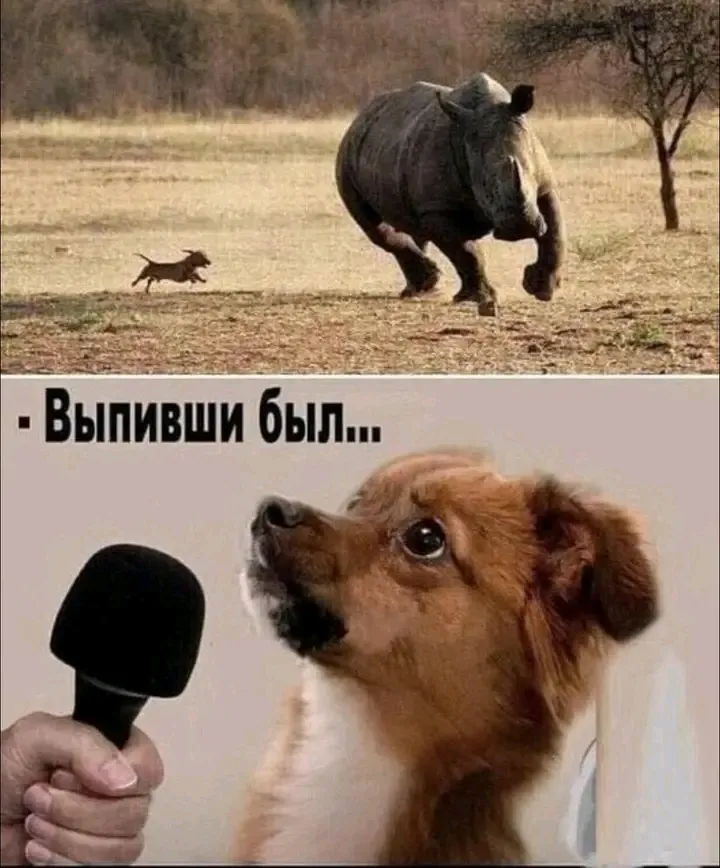 Выпивший был😅 #1