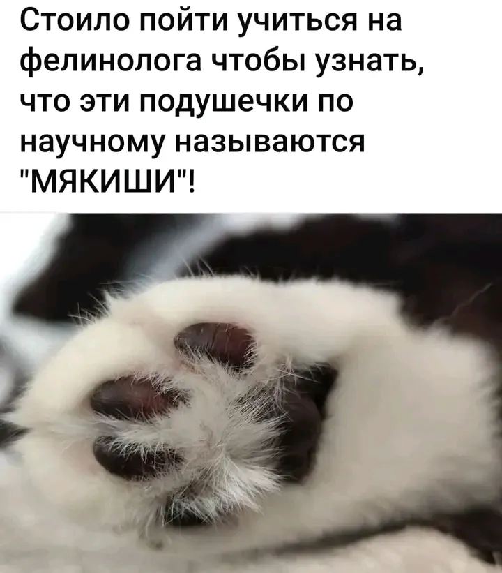 🥰🥰🥰 #1