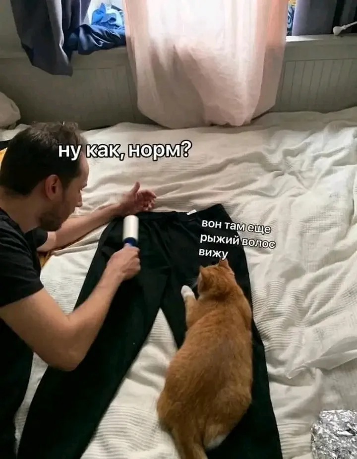 Помощник 🥰🐾🐱 #1