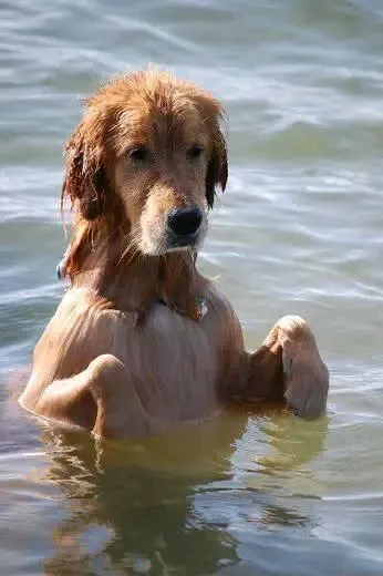 Спасение от жары 💦💦💦🌞 #1