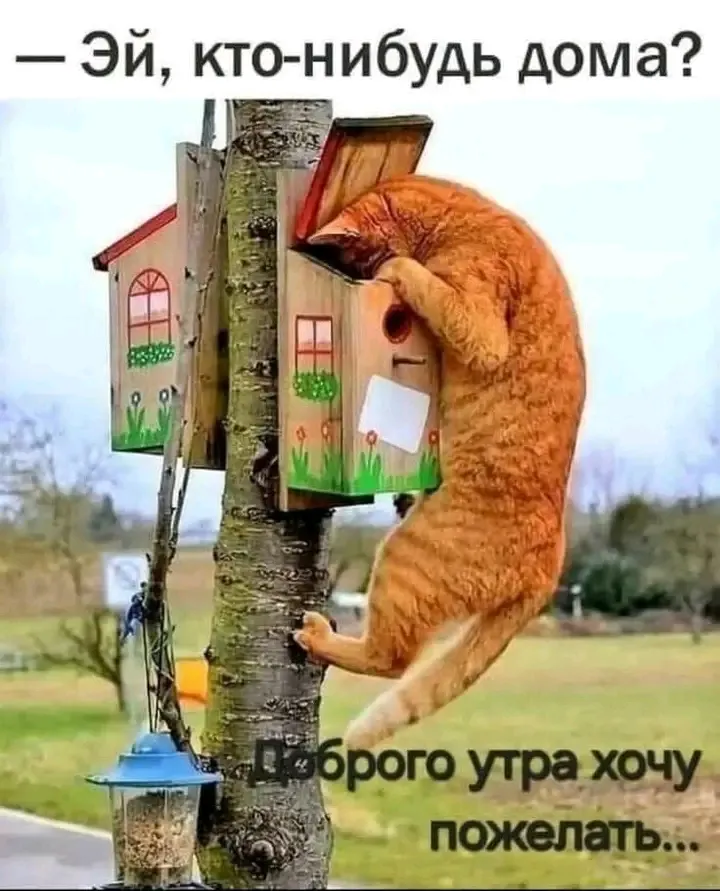 С Добрым Утром🌞 🐾 #1