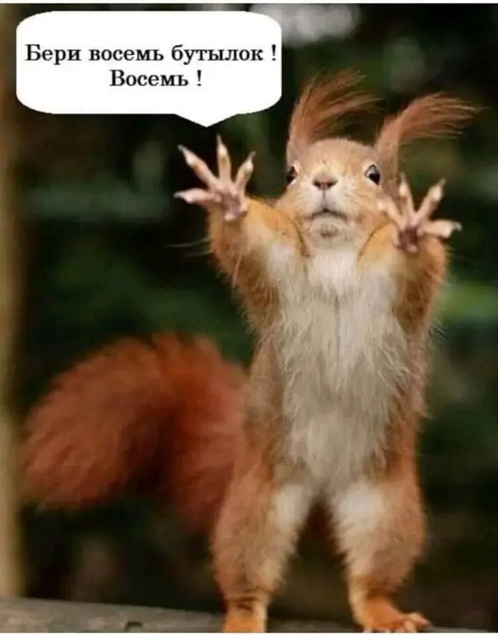 😉🐿 🍾 #1