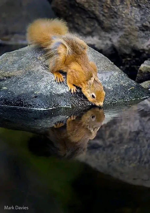 🥰🥰🥰🐿 #1