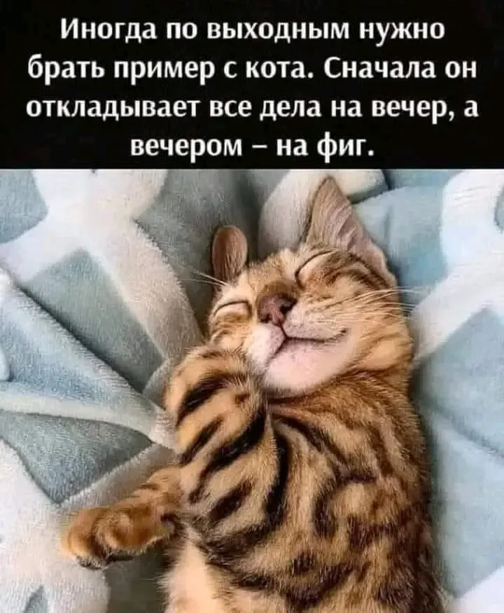 😉👍 #1
