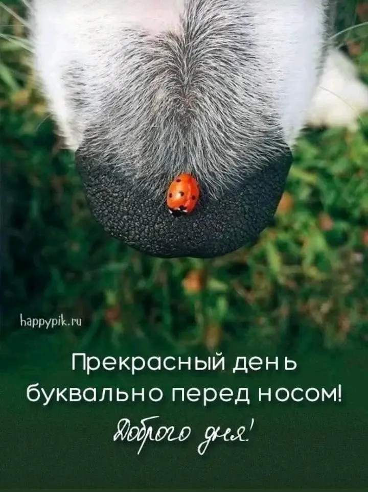 С Добрым Утром🌞 #1