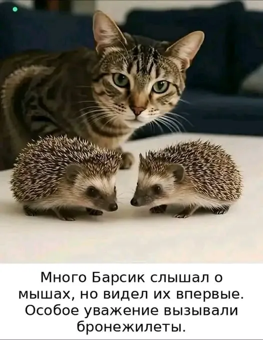 😉🦔🐾👍 #1