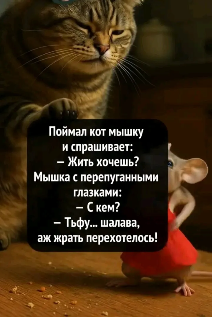 🤣👍👌🐾🐀 #1
