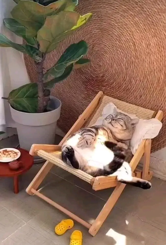 Понедельник. День чудесный 😉