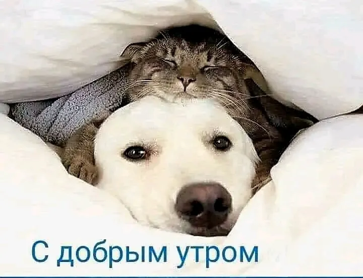 🥰🥰🥰 #1