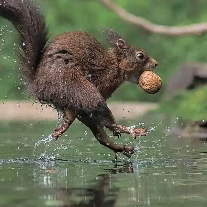 С Добрым Утром 🐿 #1