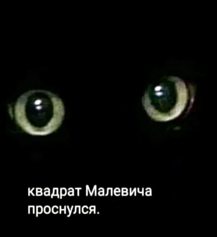 Редкий кадр 🤣👍 #1