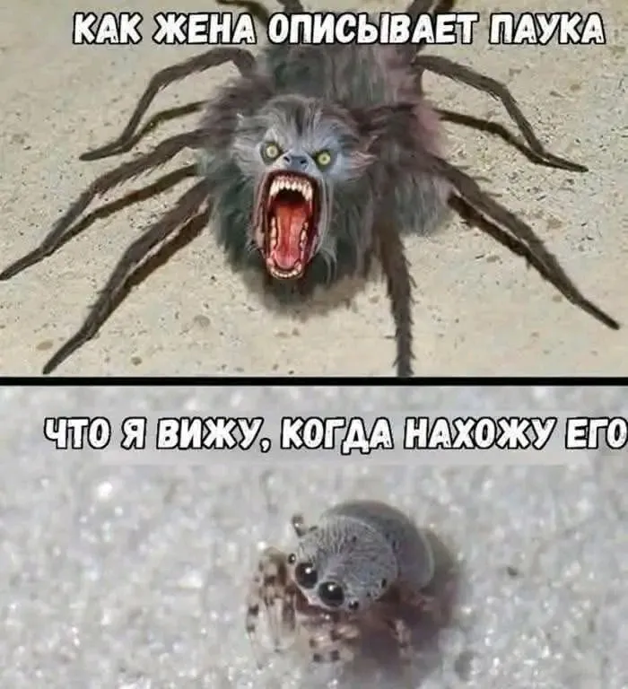 Утипути 🕷😉 #1