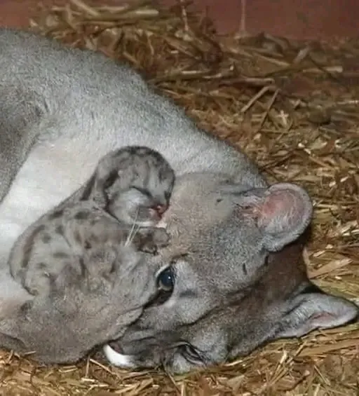 🥰🥰🥰 #1