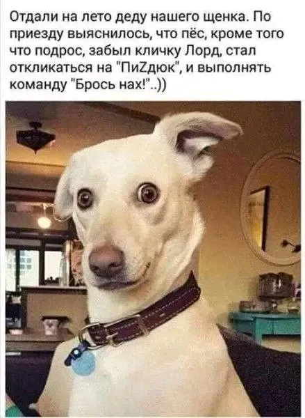 🤣🤣🤣 #1