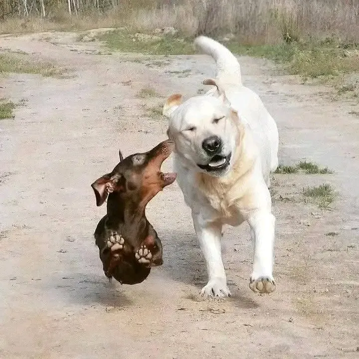 Навстречу выходным😉👍 #1
