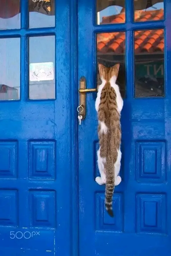 Есть кто дома?  #1