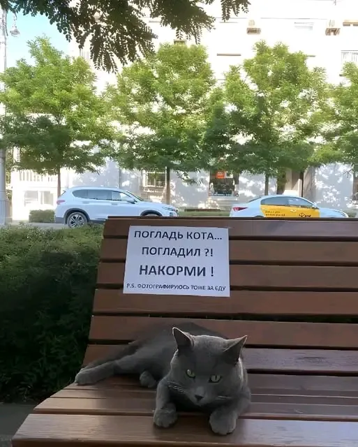 Инструкция 🤣👍 #1