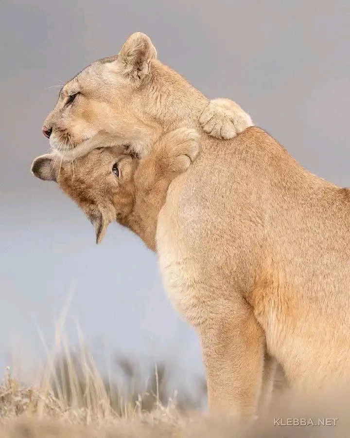 🥰🥰🥰 #2