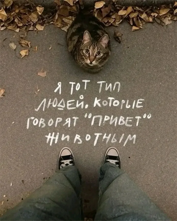 С Добрым Утром🌞 🐾 #1