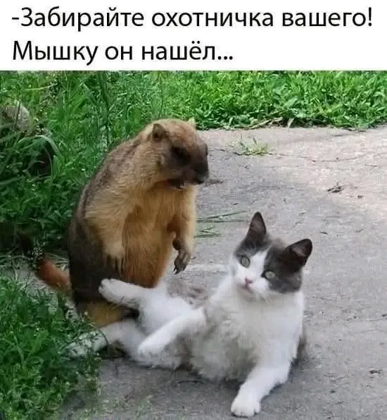 Охотник🤣👍 #1