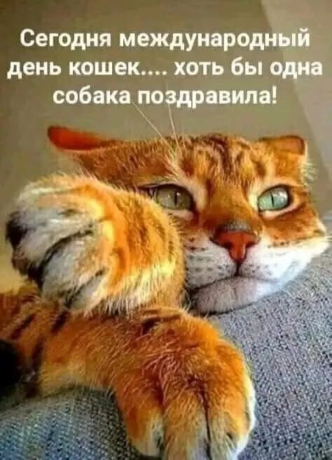 Всех поздравляющих благодарю, а кто не поздравит запомню ... 🐾