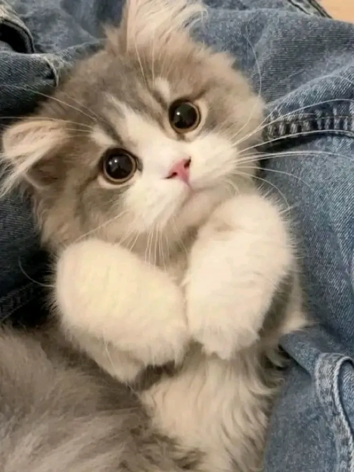"УЖАСНАЯ" История🥰 #2