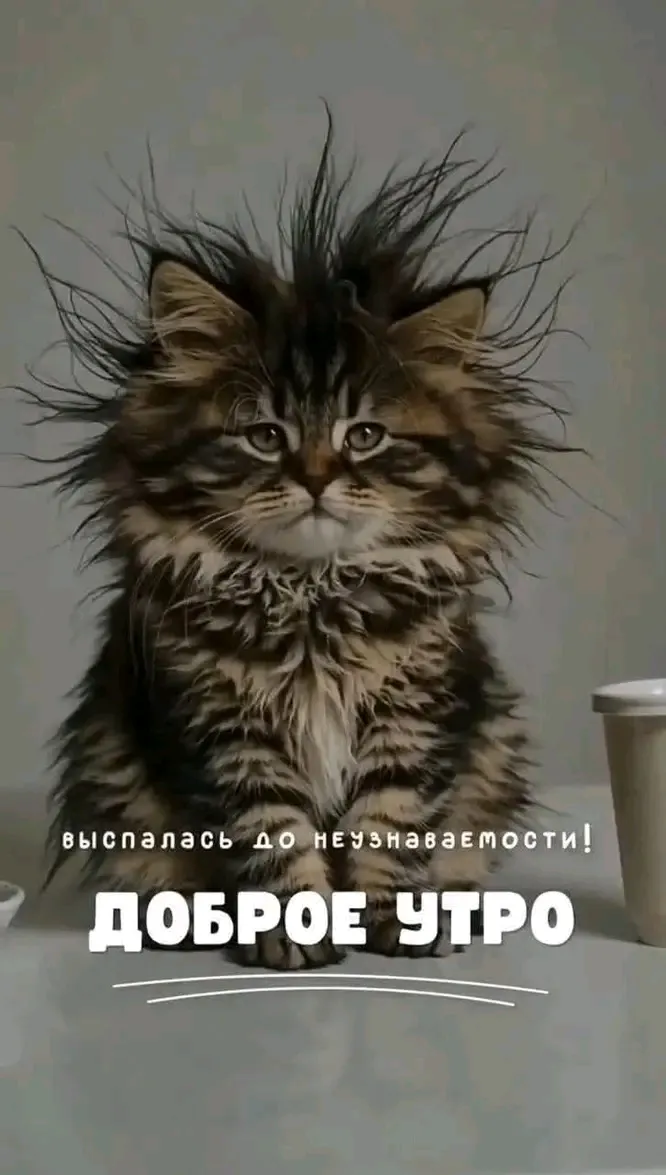 Привет👋 #1
