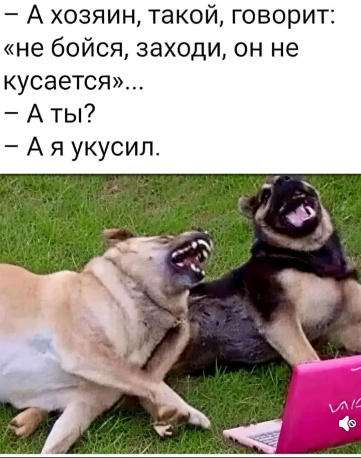 🤣🤣🤣 #1