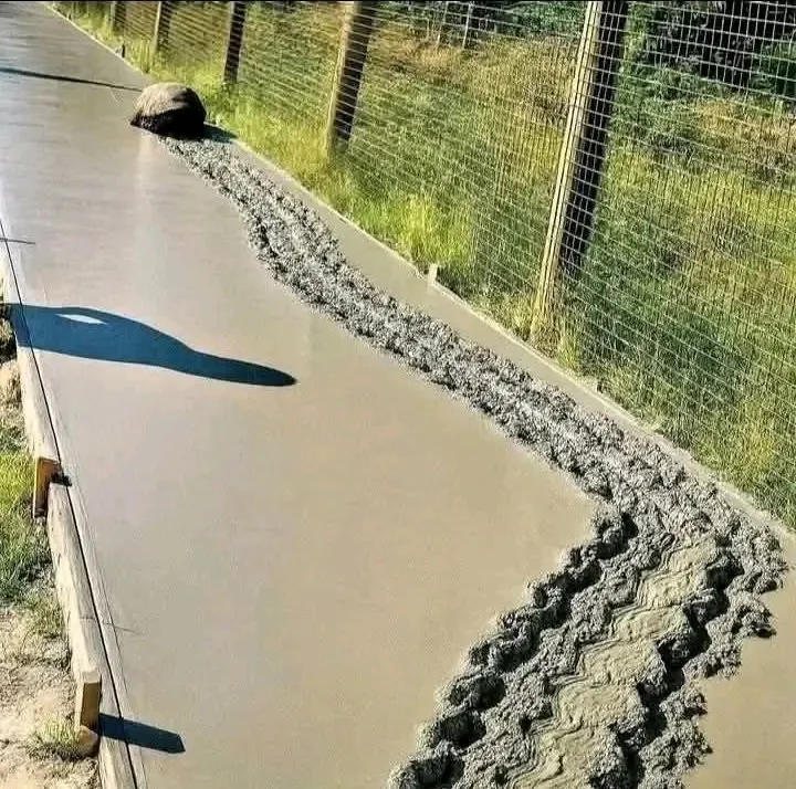 УПС...🤣🐢 #1