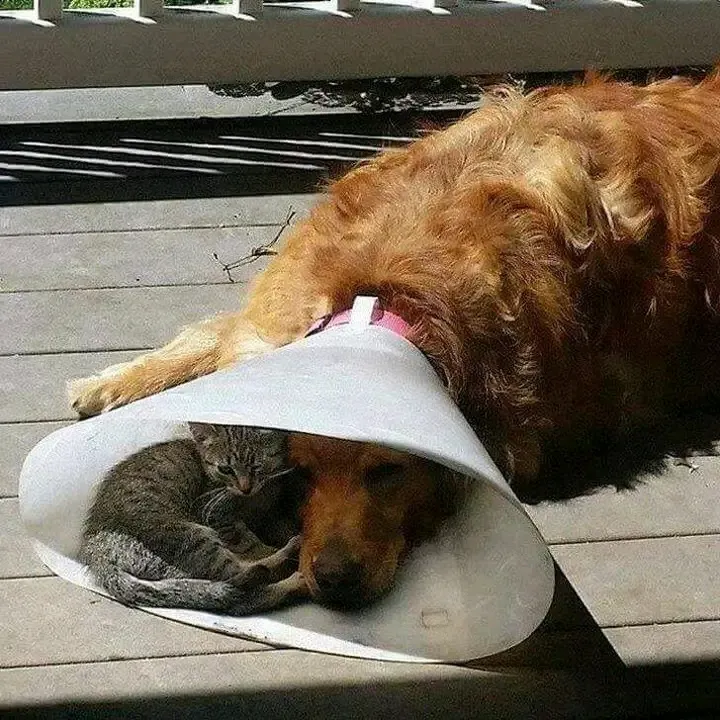 🥰🥰🥰 #2