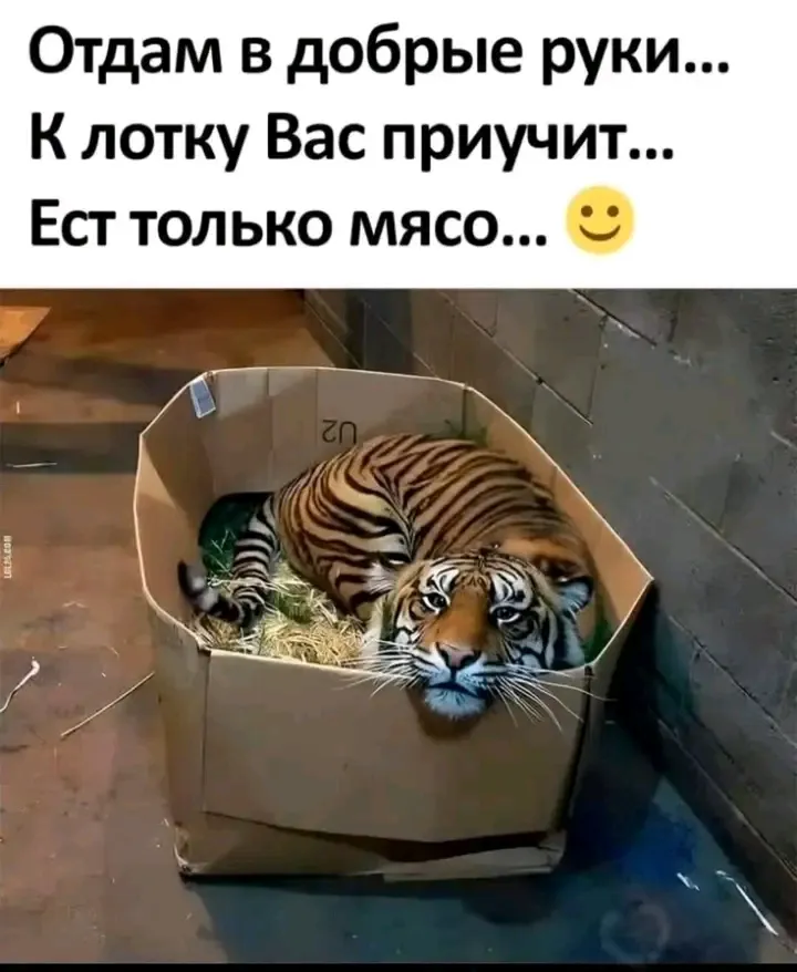 👀😉🤣 #1