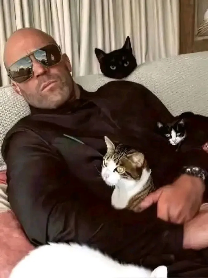 Коты и кошки нужны всем даже Стэтхэму😉👍