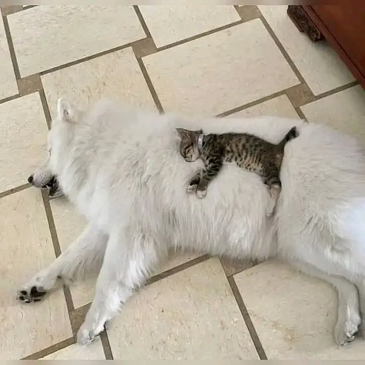 С Добрым Утром 🥰 #1