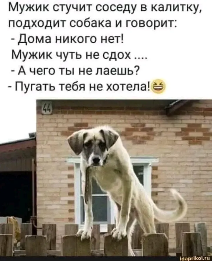🤣🤣🤣 #1