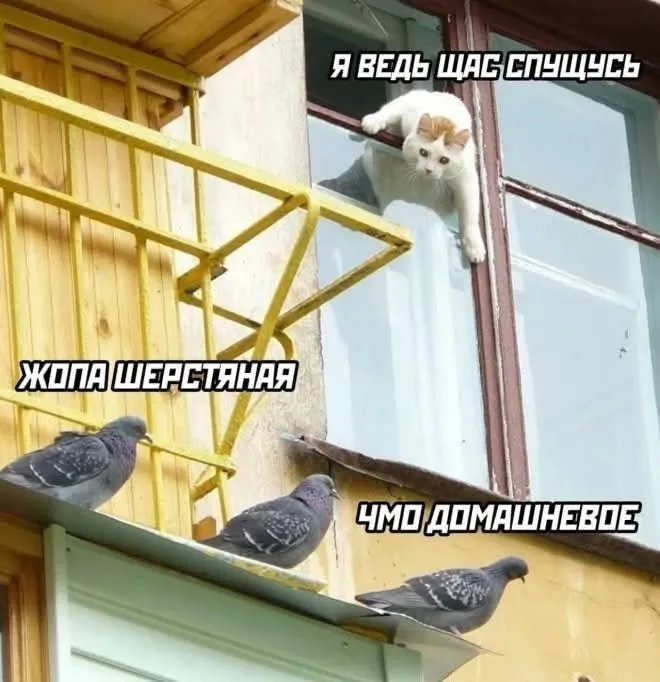 Провокаторы)