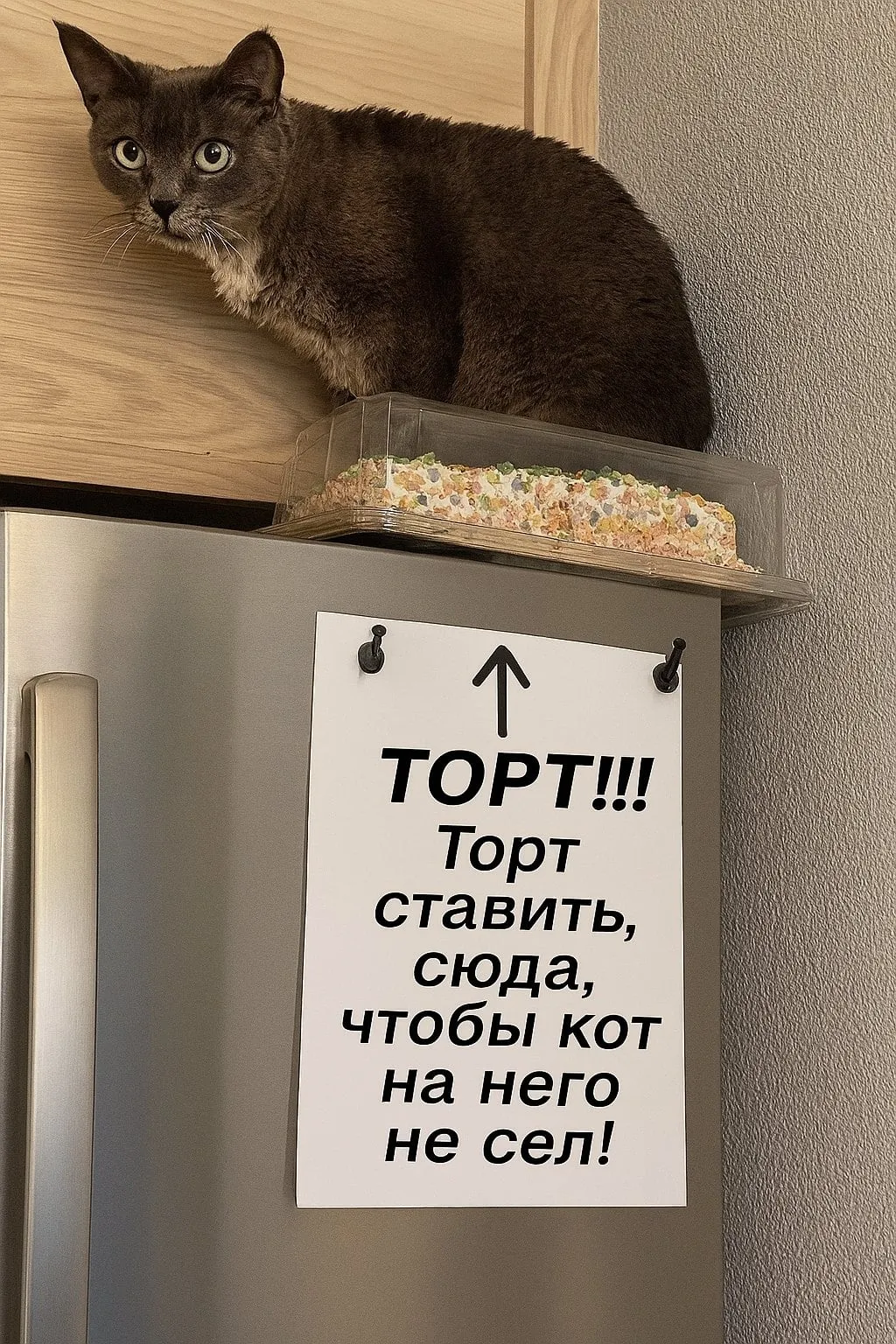 👀🤣👍🐾 #1