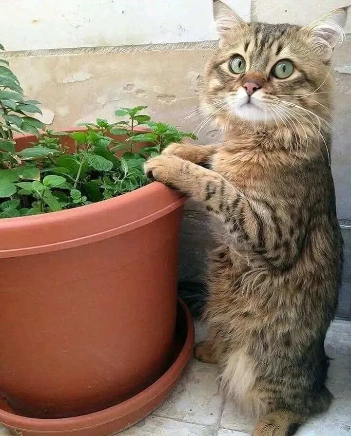Сюда нельзя, да?  #2