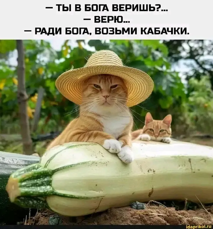 С Добрым Утром🐾🐾 🌞 #1