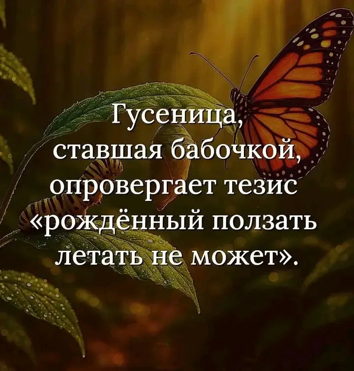 Опять же, всё относительно)